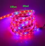 Banda led Plant Grow pentru plante ip65, 12v, 5metri