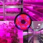Banda led Plant Grow, pentru plante ip20,5metri